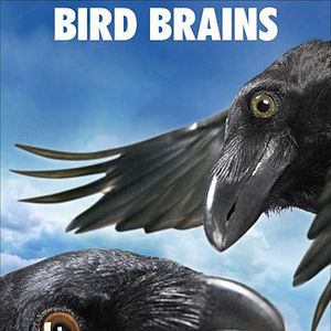 Foto La telaraña de Carlota