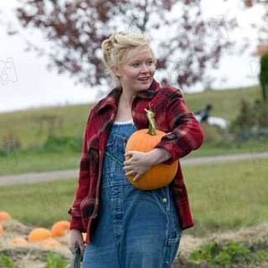 Foto La telaraña de Carlota