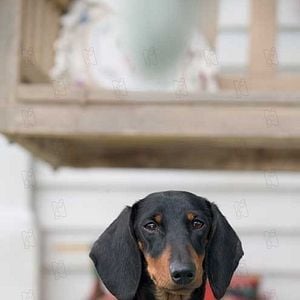 Foto La telaraña de Carlota