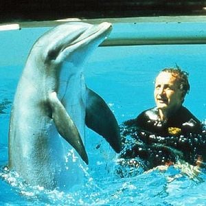 Foto El día del delfín