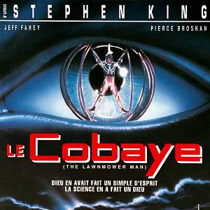 Foto El cortador de cesped