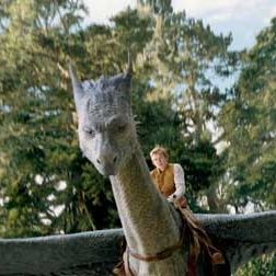 Foto Eragon