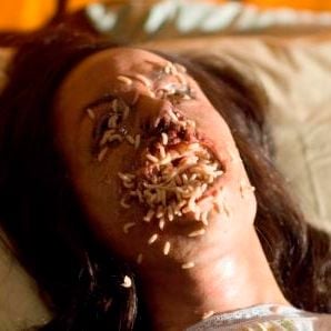 Foto Masters of Horror