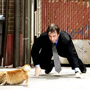 Foto Cariño, estoy hecho un perro