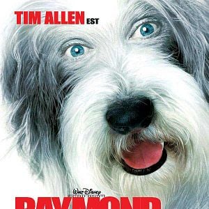 Foto Cariño, estoy hecho un perro