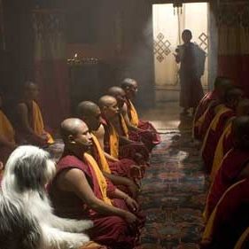 Foto Cariño, estoy hecho un perro