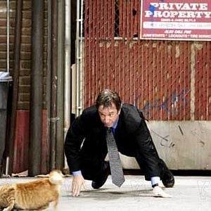 Foto Cariño, estoy hecho un perro