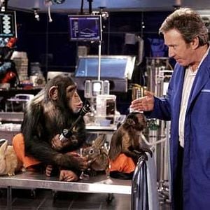 Foto Cariño, estoy hecho un perro