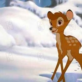 Foto Bambi 2, el príncipe del bosque