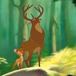 Foto Bambi 2, el príncipe del bosque