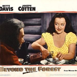 Foto Más allá del bosque