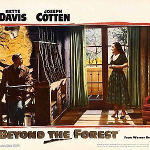 Foto Más allá del bosque