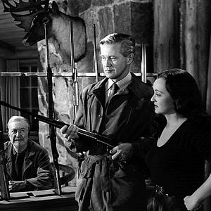 Foto Más allá del bosque