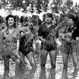 Foto Silvana Mangano