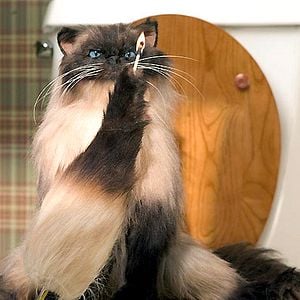 Foto Jason Friedberg