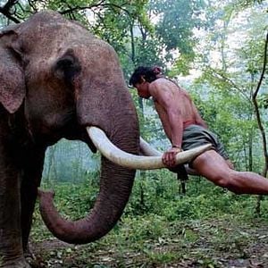 Foto Prachya Pinkaew