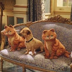Foto Garfield 2