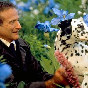 Foto Más allá de los sueños