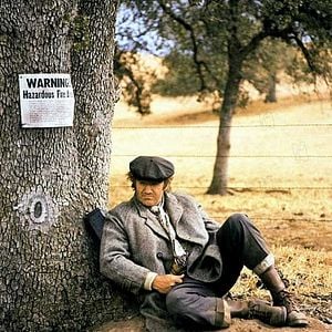 Foto Espantapájaros