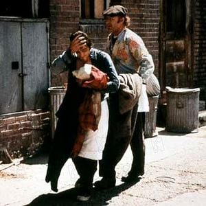 Foto Espantapájaros