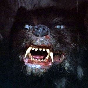 Foto Wolfgang Petersen