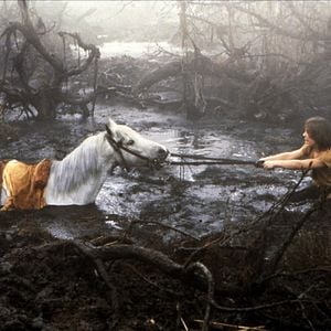 Foto Wolfgang Petersen