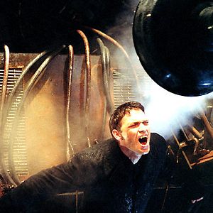 Foto La criatura perfecta