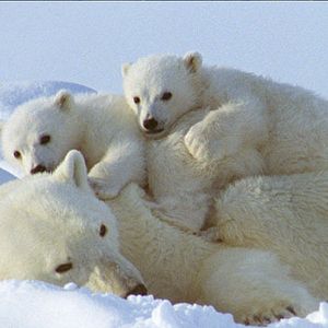 Foto Thierry Ragobert