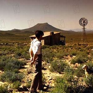 Foto Pregúntale al viento