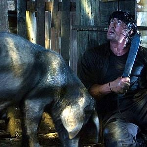 Foto Sylvester Stallone