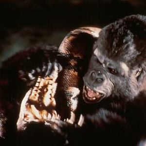 Foto John Guillermin