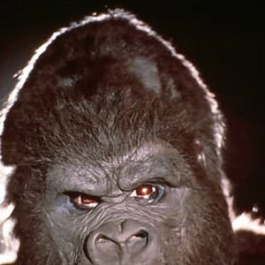 Foto John Guillermin