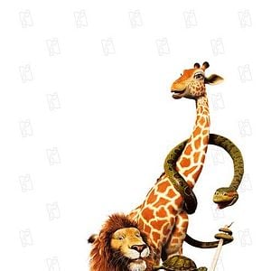 Foto Salvaje (The Wild)