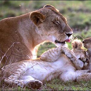 Foto Laurent Charbonnier