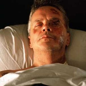 Foto La vida secreta de las palabras