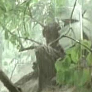 Foto Rescate al amanecer