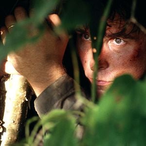 Foto Rescate al amanecer