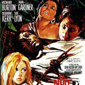 Foto La noche de la iguana