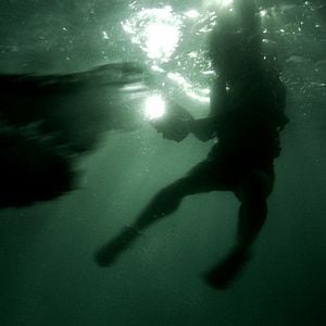 Foto El territorio de la bestia (Rogue)