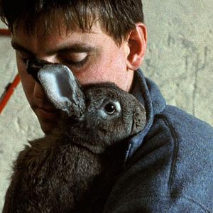 Foto Sehnsucht (Nostalgia)