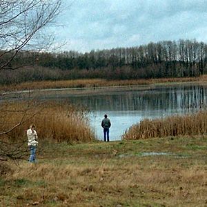 Foto Sehnsucht (Nostalgia)