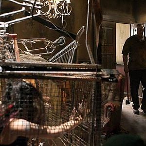 Foto Los ojos del mal