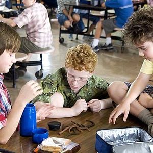 Foto Como comer gusanos fritos