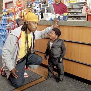 Foto Pequeño pero matón