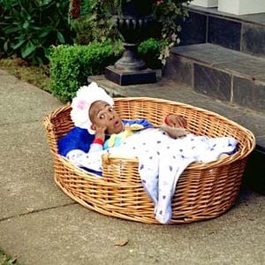 Foto Pequeño pero matón