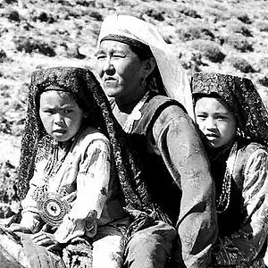 Foto 37 Uses For A Dead Sheep