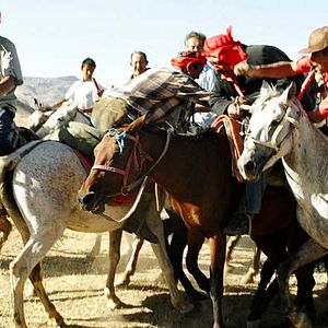 Foto 37 Uses For A Dead Sheep