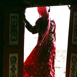 Foto 37 Uses For A Dead Sheep