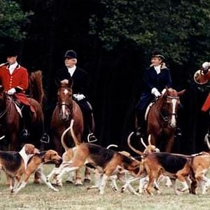 Foto Charlotte De Turckheim