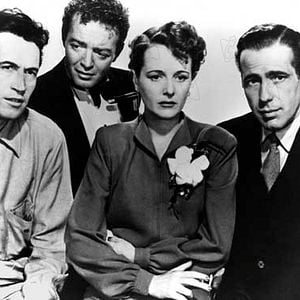 Foto El halcón maltés